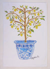 Lemon Tree (Limited Ed.) Kitchen Sack Towel