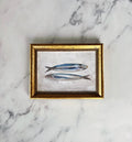 SARDINES II - Art Print (unframed)