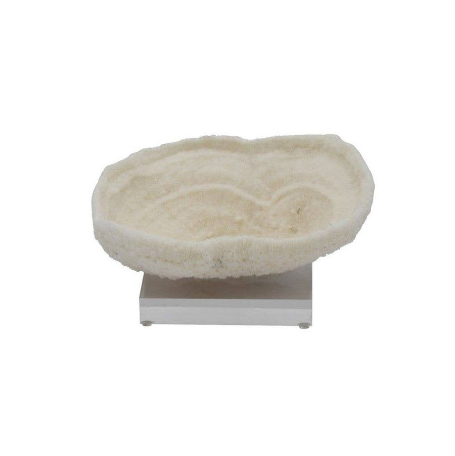 Bowl Coral 9-10 Inch On Acrylic Base