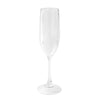 Acrylic Champagne Flute in Crystal Clear