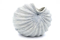 PALM S-Handcrafted Porcelain Vase