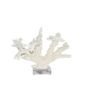 Branch Coral 8-10  Inch On Acrylic Base