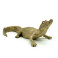 Gold Caiman 14"