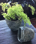 Cement Palm Planter