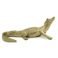Gold Caiman 14"