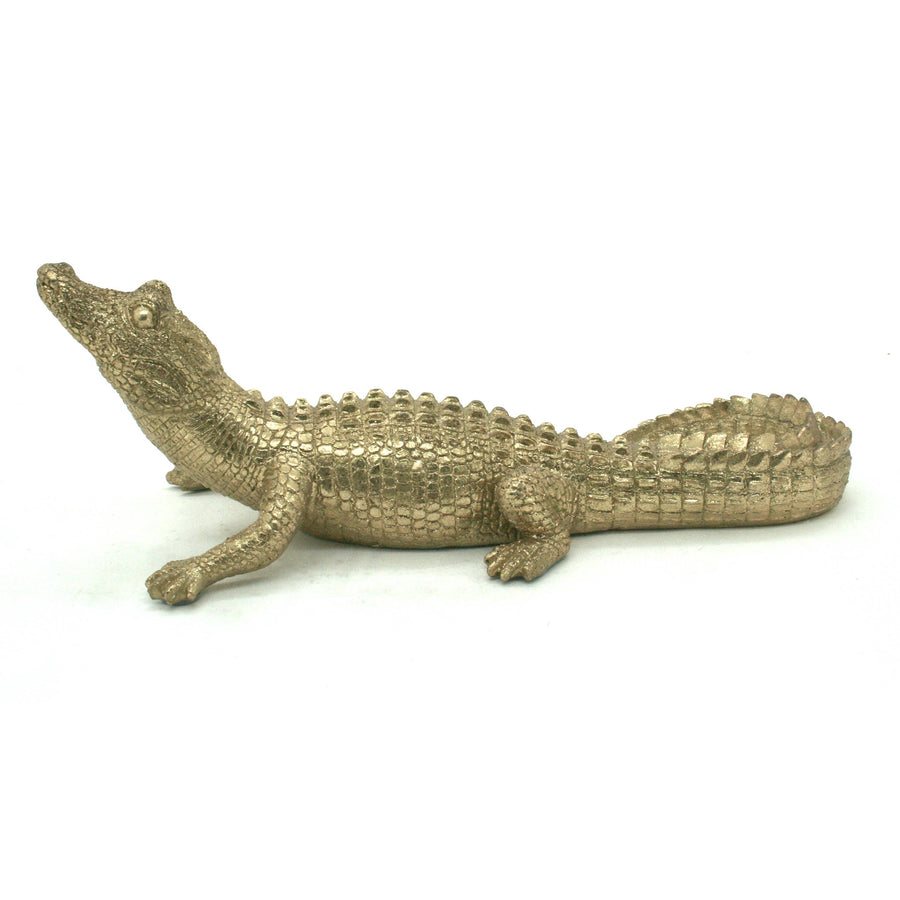 Gold Caiman 14"