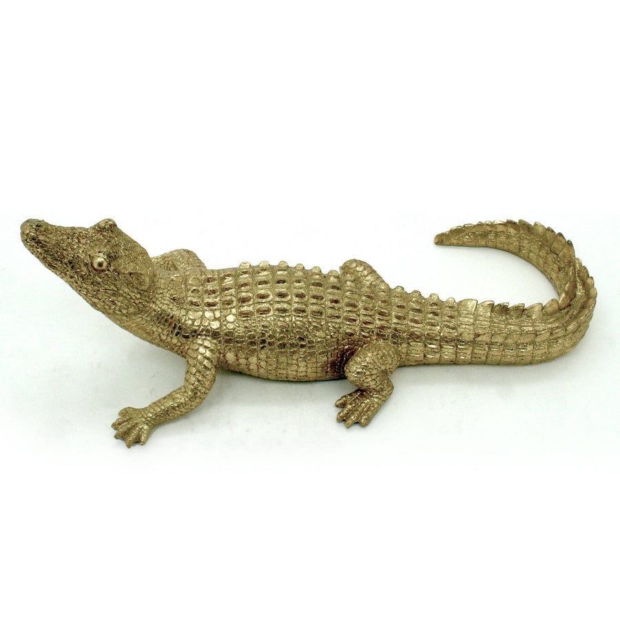 Gold Caiman 14"