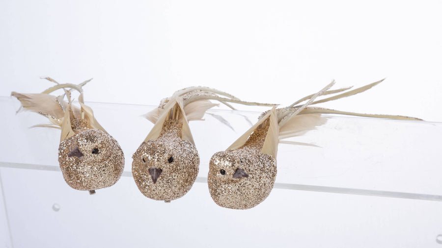 A64028:3 Asst'd champagne glitter clip-on birds w/ natura