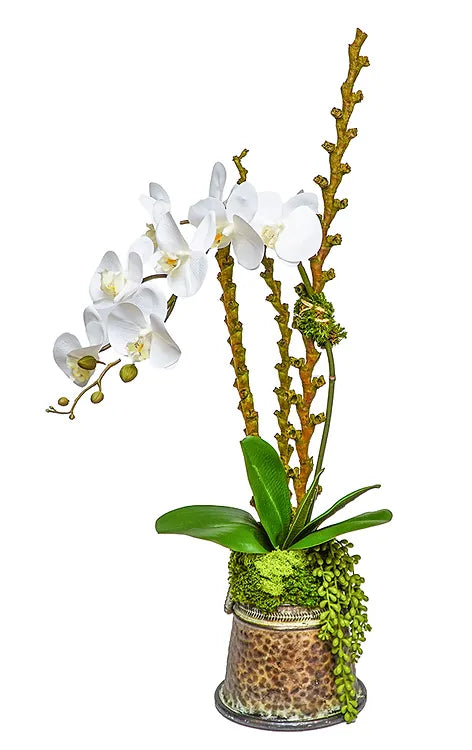 Orchid and Branches in 6" Bronze Pot