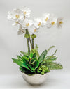 Double Orchids/Fern Foliage in Silver Bowl