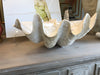 Clam Shell