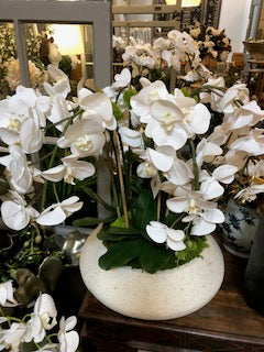 7 Orchids in Terrazzo Bowl