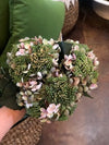 Hydrangea/Seed Bundle