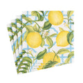 Caspari Boxed Cocktail Napkin