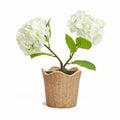 Scalloped Basket Weave Cachepot
