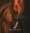 Remembering Elephants