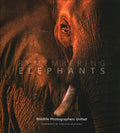 Remembering Elephants