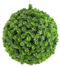 Creeping Sedum Ball