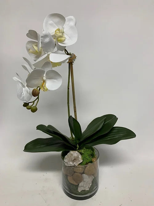 Small Orchid w/ Crystal in Glass