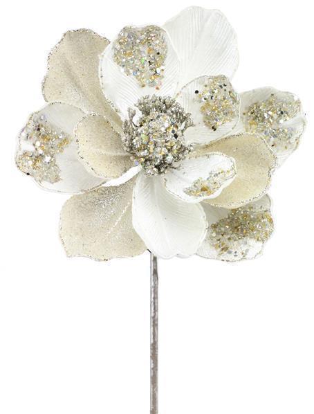 Magnolia Stem