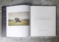 Remembering Elephants